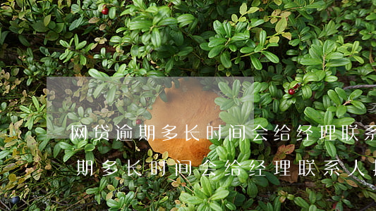 网贷逾期多长时间会给经理联系人-网贷逾期多长时间会给经理联系人打电话