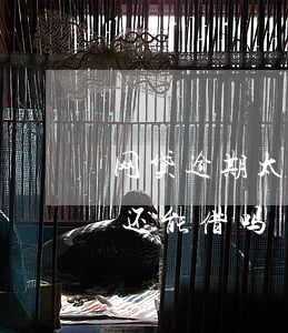 网贷逾期太多还能贷款吗(网贷逾期很久还了还能借吗)