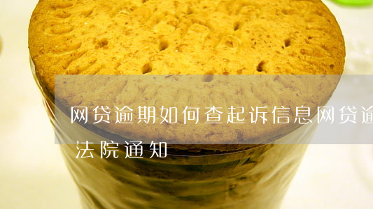 网贷逾期如何查起诉信息(网贷逾期怎么查询法院通知)