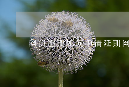 网贷逾期如何申请延期(网贷逾期咋办)