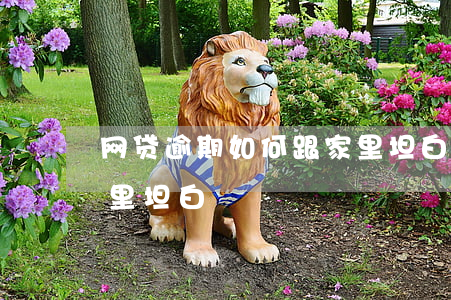 网贷逾期如何跟家里坦白(网贷逾期如何跟家里坦白)