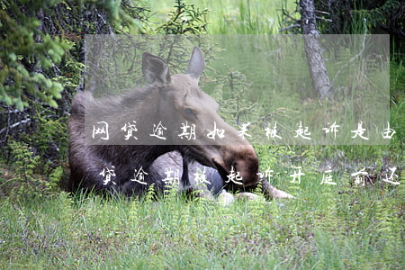 网贷逾期如果被起诉是由当地法院开庭吗（网贷逾期被起诉开庭前还清）