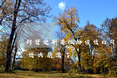 网贷逾期委托给催债公司(天天被网贷公司催债快崩溃了)
