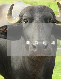 网贷逾期孩子上不了学吗