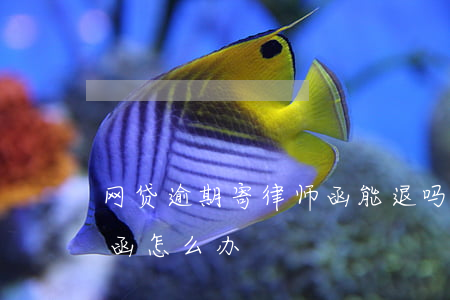 网贷逾期寄律师函能退吗-网贷逾期寄律师函怎么办