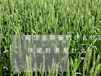 网贷逾期寄的什么快递6(网贷逾期寄的什么快递封面是什么)