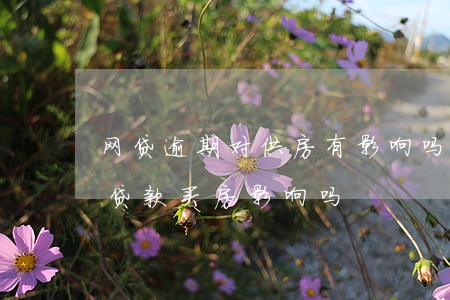 网贷逾期对供房有影响吗(之前有过网贷逾期贷款买房影响吗)