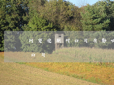 网贷逾期对公司有影响吗(网贷逾期会不会去公司)