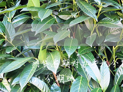 网贷逾期对办手机分期 网贷逾期可以办理手机分期吗