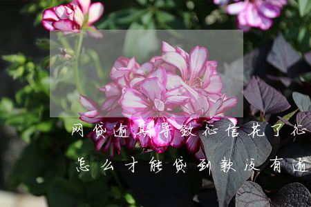 网贷逾期导致征信花了(征信花了,网贷次数多,怎么才能贷到款没有逾期)