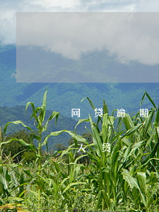 网贷逾期就是失信人吗(网贷逾期算不算失信人员)