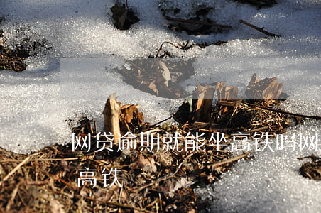网贷逾期就能坐高铁吗(网贷逾期还能不能坐高铁)