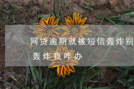 网贷逾期就被短信轰炸(别人的网贷短信一直轰炸我咋办?)