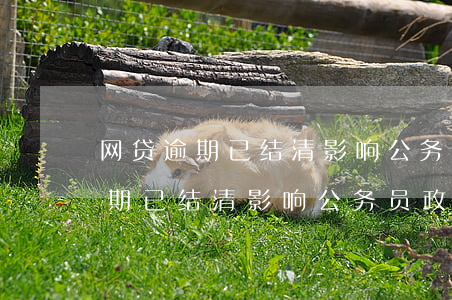 网贷逾期已结清影响公务员政审吗-网贷逾期已结清影响公务员政审吗知乎