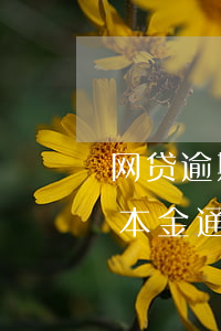 网贷逾期开通本金通道是什么意思-开通还本金通道