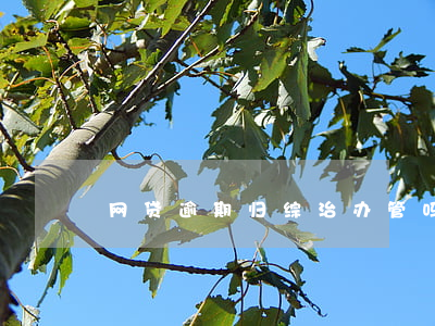 网贷逾期归综治办管吗(网贷整治办)