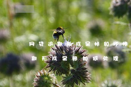 网贷逾期形成呆帐和坏帐如何去掉-网贷逾期形成呆账如何处理