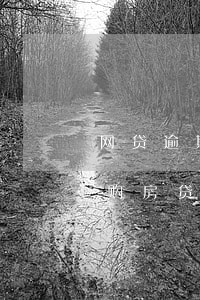 网贷逾期影不影响购房(网贷逾期一次会影响购房贷款吗)