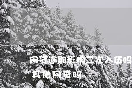 网贷逾期影响二次入伍吗(一个网贷逾期影响其他网贷吗)