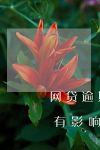 网贷逾期影响公积金贷吗(网贷逾期公积金会有影响吗)