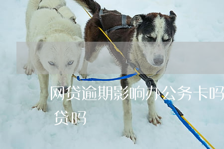 网贷逾期影响办公务卡吗(公务卡逾期影响房贷吗)