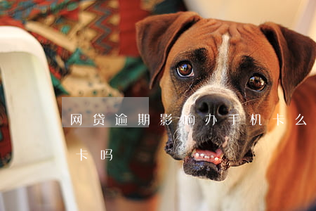 网贷逾期影响办手机卡么(网贷逾期能办工资卡吗)