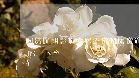 网贷逾期影响卖房还贷吗(房贷逾期还能卖房吗)