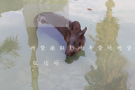 网贷逾期影响车贷吗(网贷逾期影响车贷吗上征信吗)