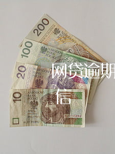 网贷逾期征信多久有事(网贷逾期多久影响征信)