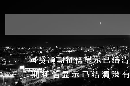 网贷逾期征信显示已结清没有代偿-网贷逾期征信显示已结清没有代偿怎么办