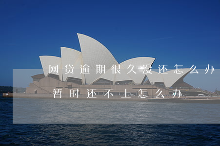 网贷逾期很久没还怎么办(好几个网贷逾期了暂时还不上怎么办)
