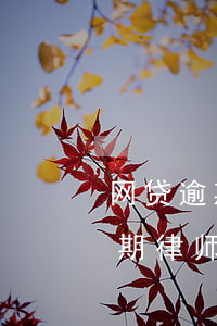 网贷逾期律师事务所发来的律师函-网贷逾期律师事务所发来的律师函是真的吗