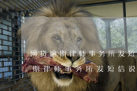 网贷逾期律师事务所发短信说开庭-网贷逾期律师事务所发短信说开庭是真的吗