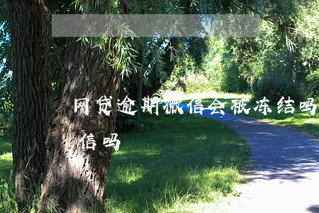 网贷逾期微信会被冻结吗(欠网贷会被冻结微信吗?)