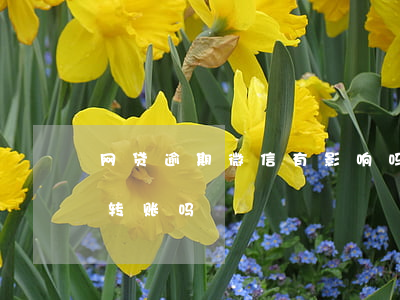 网贷逾期微信有影响吗(网贷逾期会影响微信转账吗)