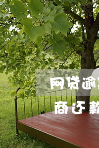 网贷逾期怎么去协商还款(网贷逾期怎么去协商还款)