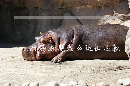 网贷逾期怎么延长还款