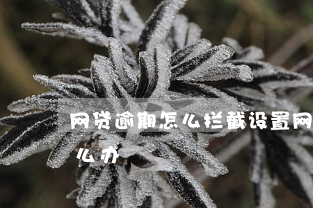 网贷逾期怎么拦截设置(网贷逾期后被威胁怎么办)