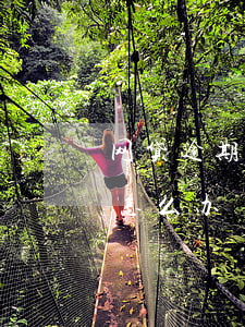 网贷逾期怎么收回本金(网贷还完本金还催收怎么办)