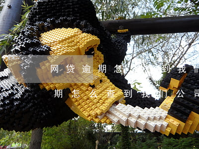 网贷逾期怎么查到我们公司的电话-网贷逾期怎么查到我们公司的电话号码