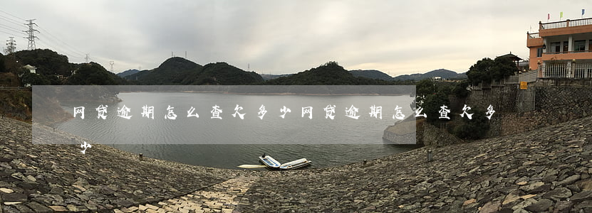 网贷逾期怎么查欠多少(网贷逾期怎么查欠多少)
