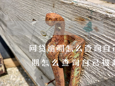 网贷逾期怎么查询自己被起诉了没-网贷逾期怎么查询自己被起诉了没有