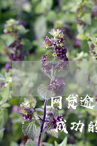 网贷逾期怎么申请延期(网贷申请延期还款有成功的嘛)