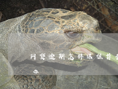 网贷逾期怎样保住首套房(网贷逾期买房怎么办)