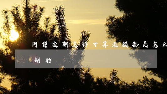 网贷逾期怎样才算老赖(都是怎么解决网贷逾期的)