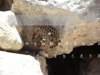 网贷逾期怎样查自己是不是被起诉-网贷逾期怎样查自己是不是被起诉了