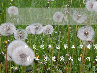 网贷逾期想第三方透露欠债信息(网贷逾期想第三方透露欠债信息)