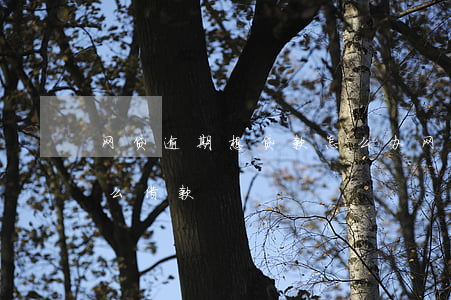 网贷逾期想贷款怎么办 网贷逾期中还可以怎么借款