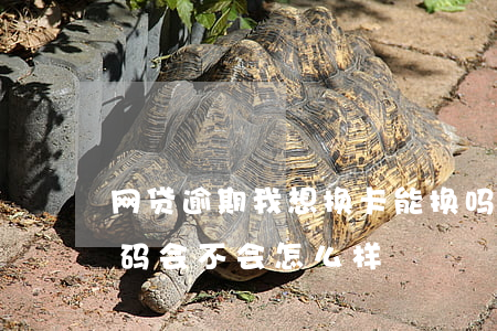 网贷逾期我想换卡能换吗(网贷逾期换电话号码会不会怎么样)