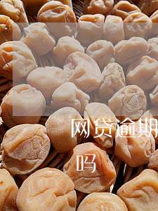 网贷逾期房子能过户吗(网贷逾期房子能过户吗)